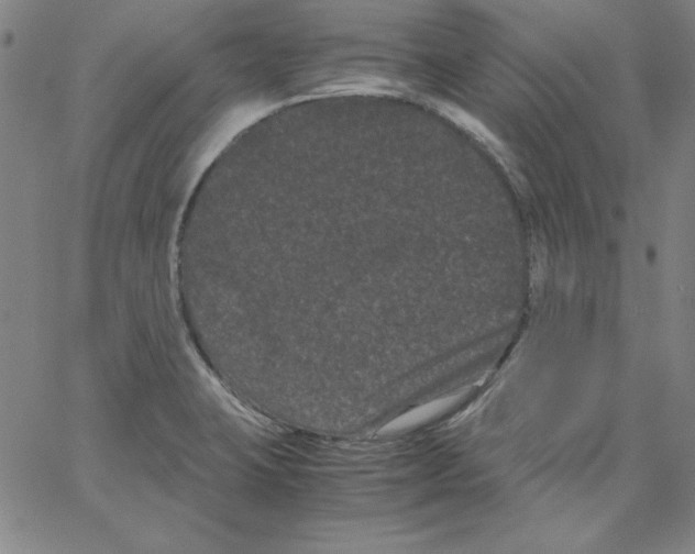 X0000066111423200604071836