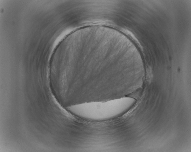 X0000066111424200604071836
