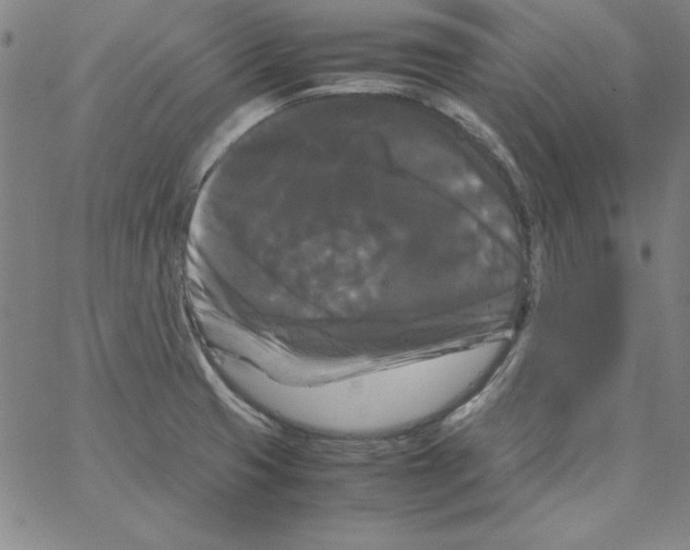 X0000066111425200604071836