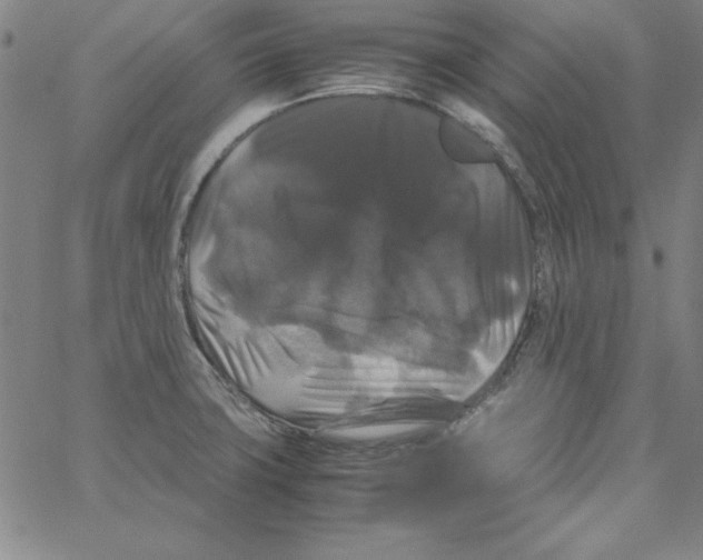 X0000066111427200604071836
