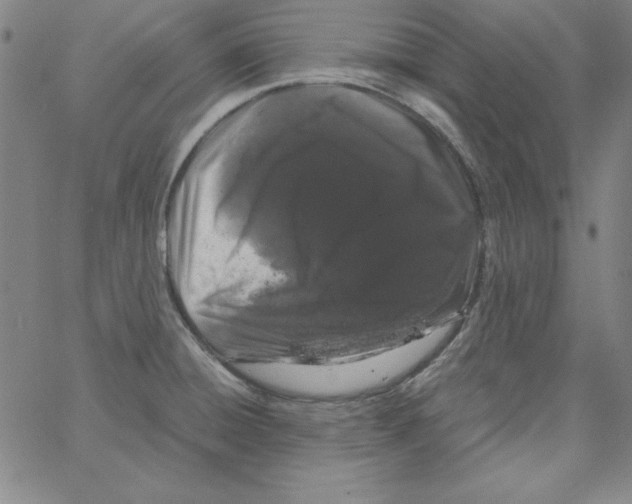 X0000066111428200604071836