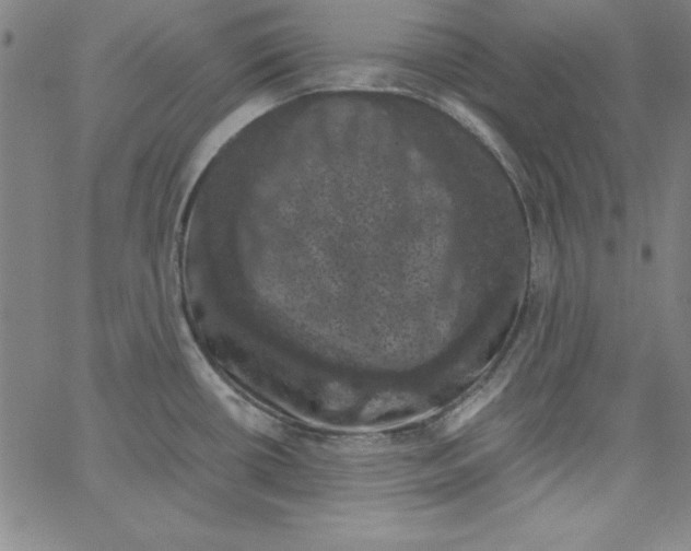 X0000066111434200604071836