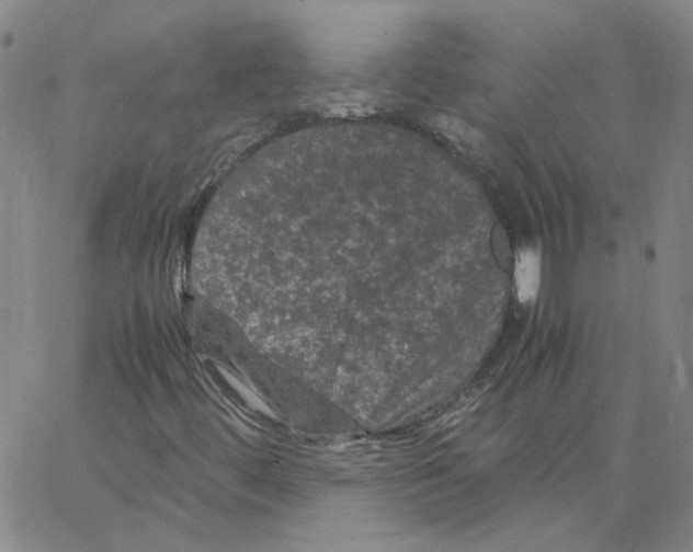 X0000066111444200604071835