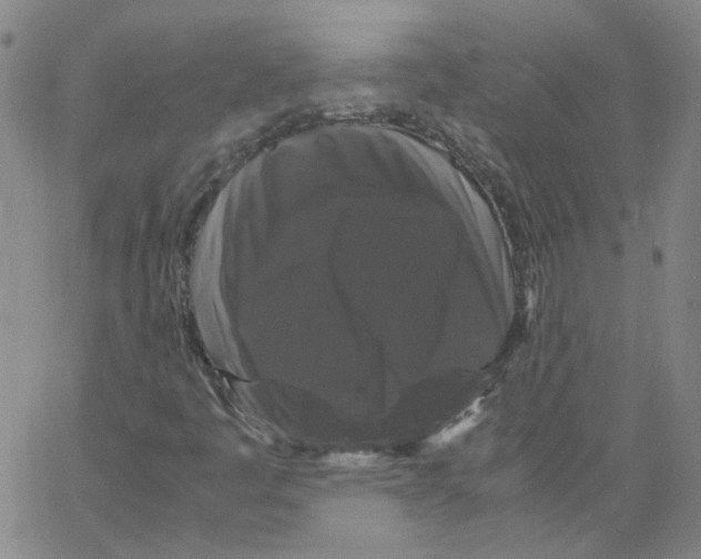 X0000066111445200604071835