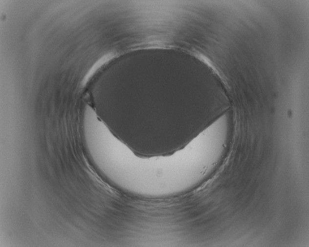 X0000066111450200604071835