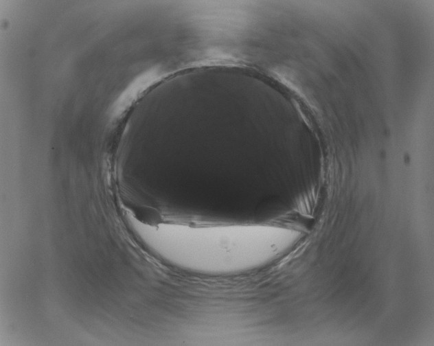 X0000066111455200604071835