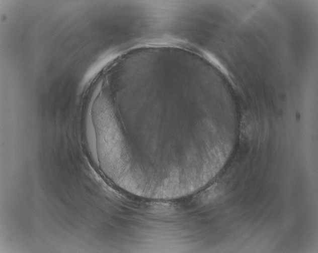 X0000066111456200604071835