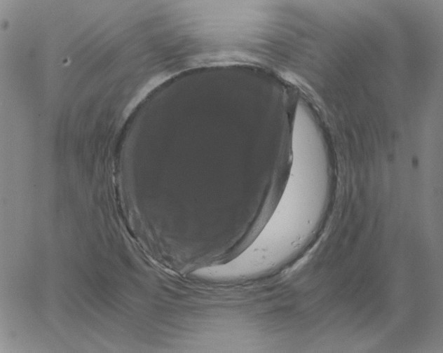 X0000066111457200604071835