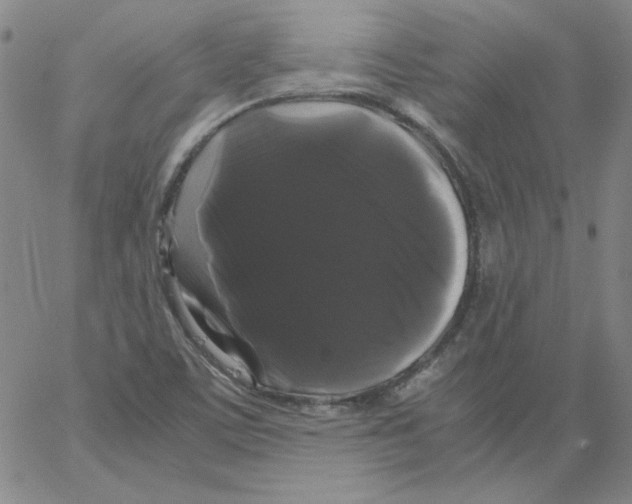 X0000066111459200604071835