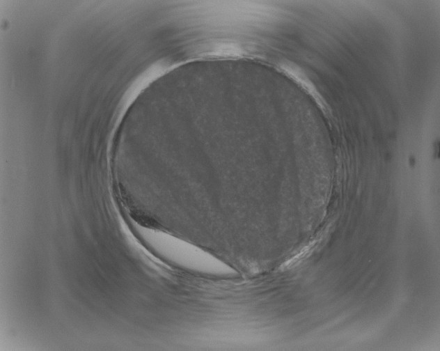 X0000066111475200604071835