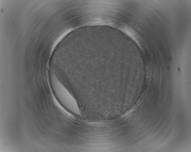 X0000066111476200604071835