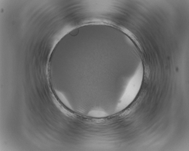 X0000066111482200604071835