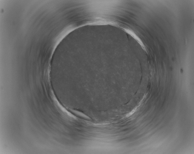 X0000066111484200604071835