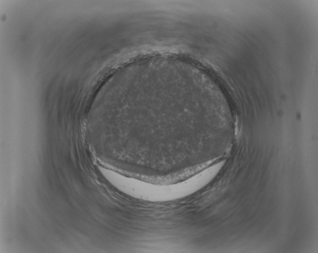 X0000066111492200604071834