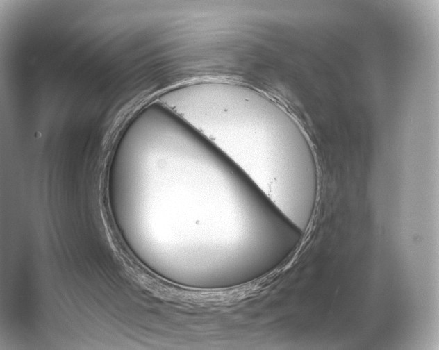 X0000066120001200603101054