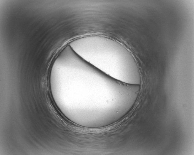 X0000066120002200603101054