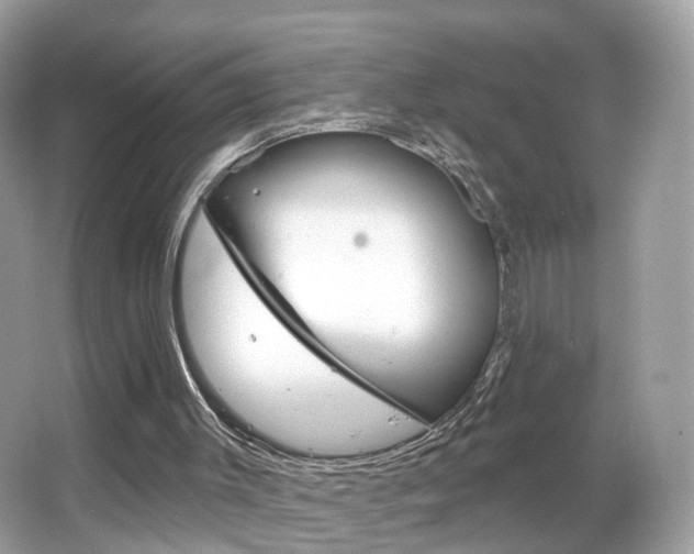 X0000066120003200603101053