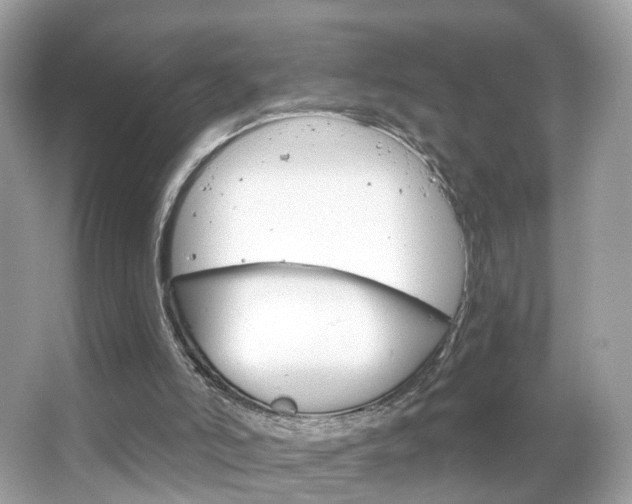 X0000066120006200603101053