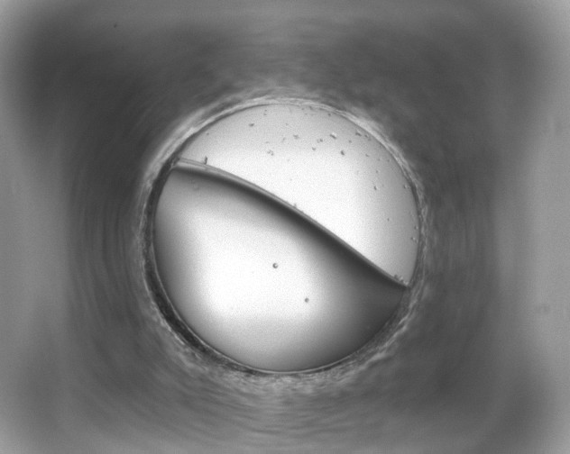 X0000066120007200603101053