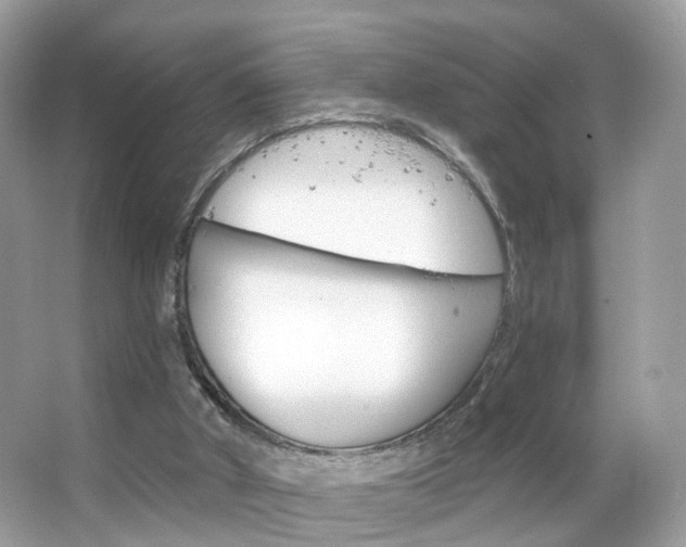 X0000066120010200603101053