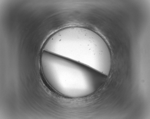 X0000066120011200603101053