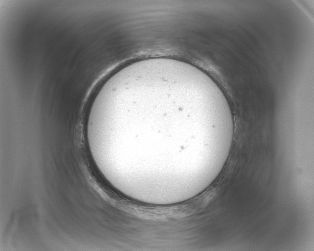 X0000066120012200603101053