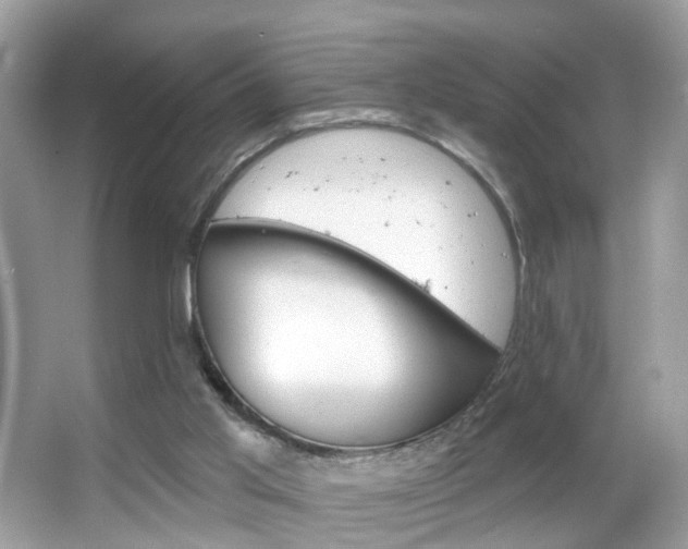 X0000066120013200603101053