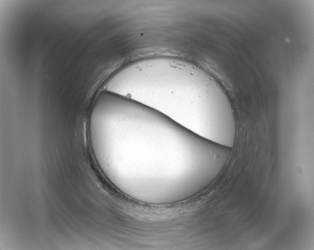 X0000066120014200603101053