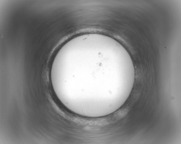 X0000066120016200603101053