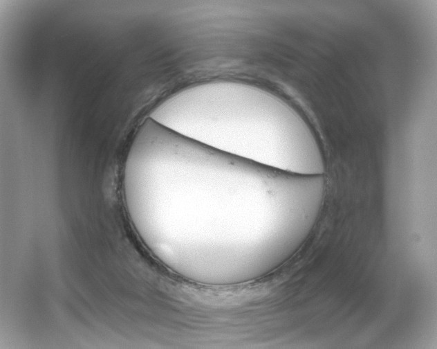 X0000066120018200603101053