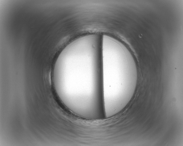 X0000066120019200603101053