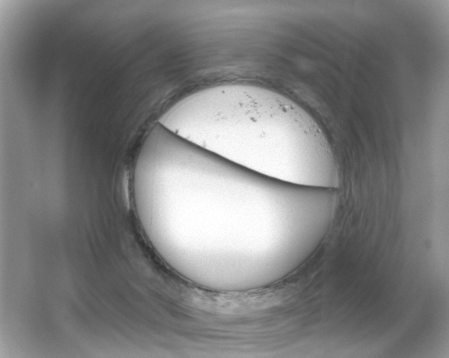 X0000066120022200603101053