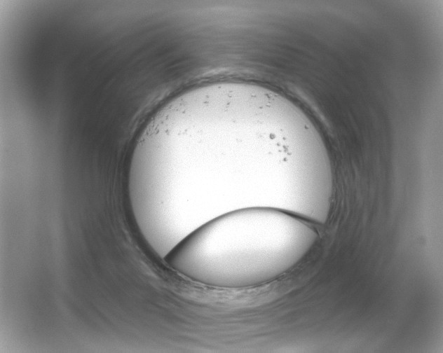 X0000066120023200603101053