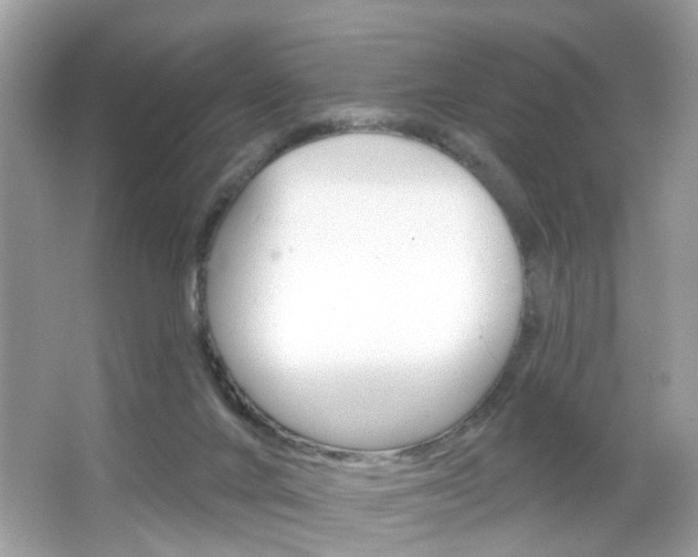 X0000066120024200603101053