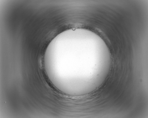 X0000066120026200603101053