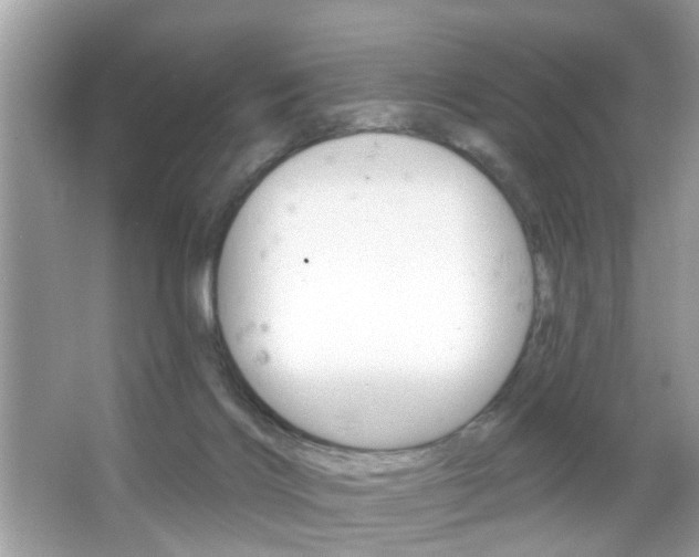 X0000066120028200603101053