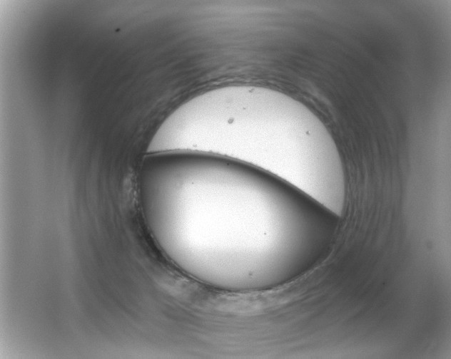 X0000066120029200603101053