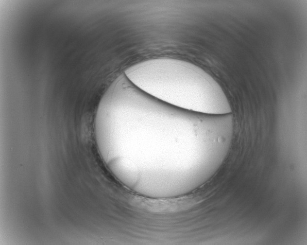 X0000066120030200603101053