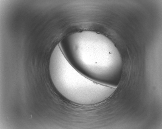 X0000066120031200603101053