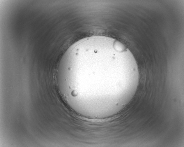 X0000066120034200603101053