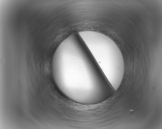 X0000066120035200603101053