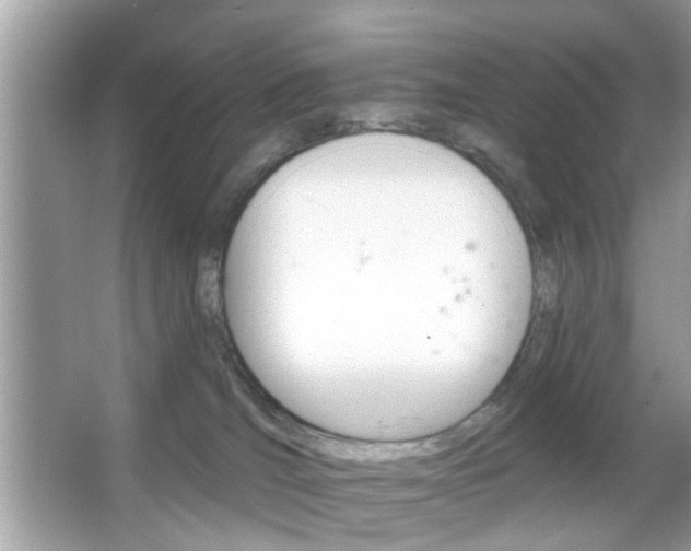 X0000066120036200603101053