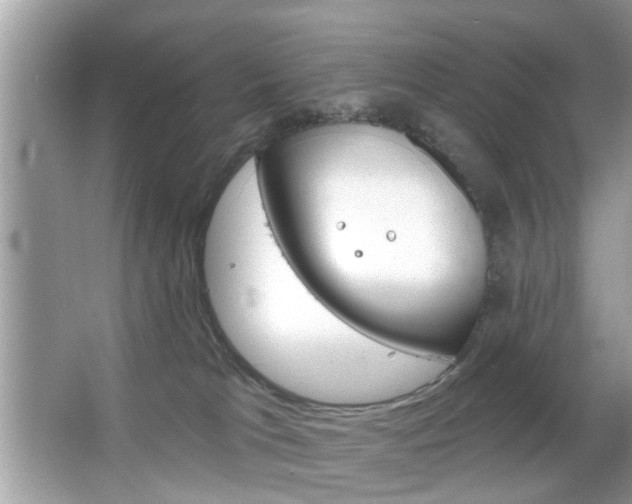 X0000066120037200603101053