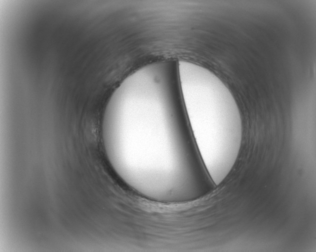 X0000066120039200603101053