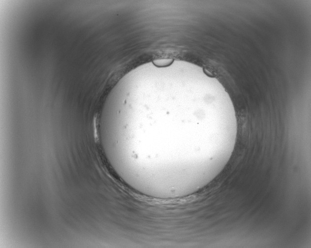 X0000066120042200603101053