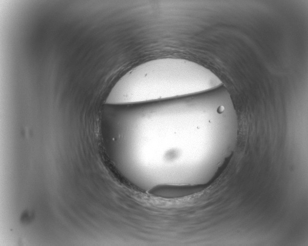 X0000066120043200603101053