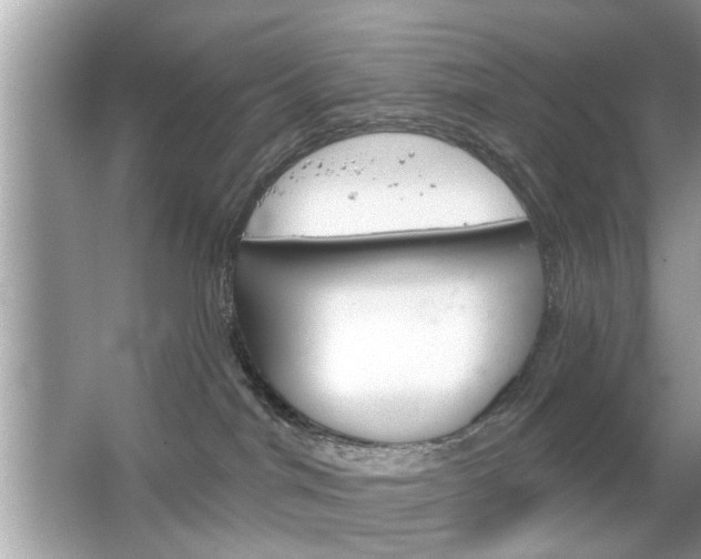 X0000066120044200603101053