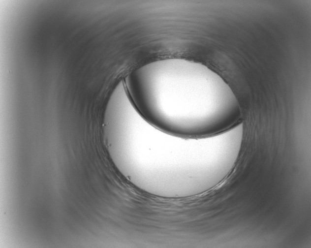 X0000066120045200603101053