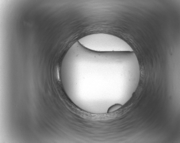 X0000066120046200603101053