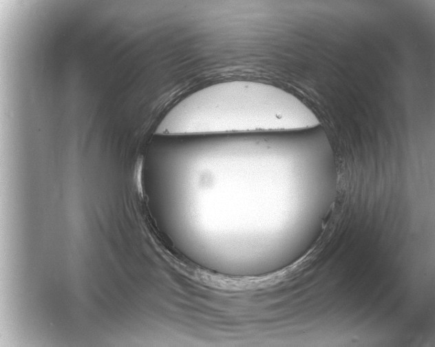 X0000066120047200603101053